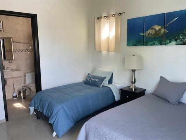 Casa Palancar With Beautiful Swimming Pool And Private Palapa *